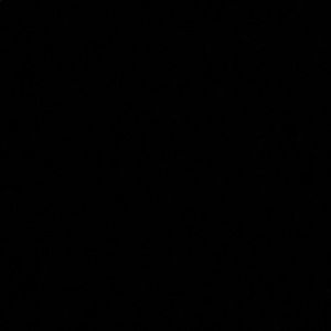 Meet your Posher, Sasha